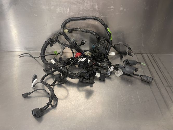 Hovedbilde Kawasaki Ninja 125 2020 Ledningsnett