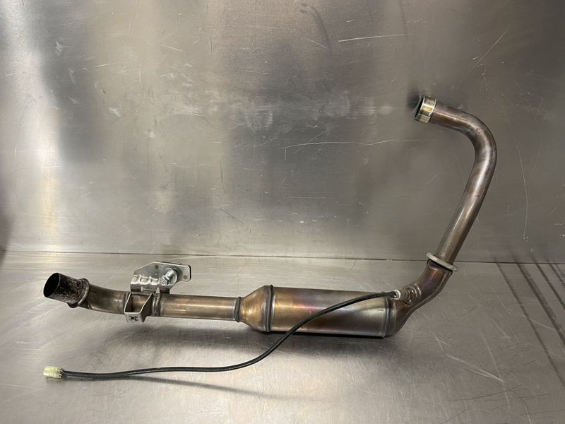 Kawasaki Z125 2024 Eksospotte